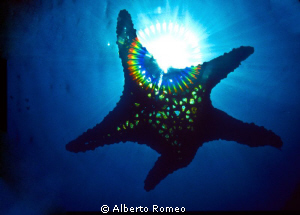 Falling star.  Rainbow filter with sun backlight. NO P.S.... by Alberto Romeo 